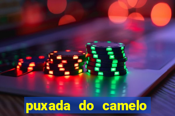 puxada do camelo no jogo do bicho